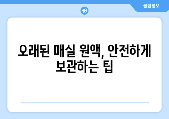 오래된 매실 원액, 활용법과 보관법 완벽 가이드 | 매실청, 매실 효능, 매실 장아찌, 매실 효소