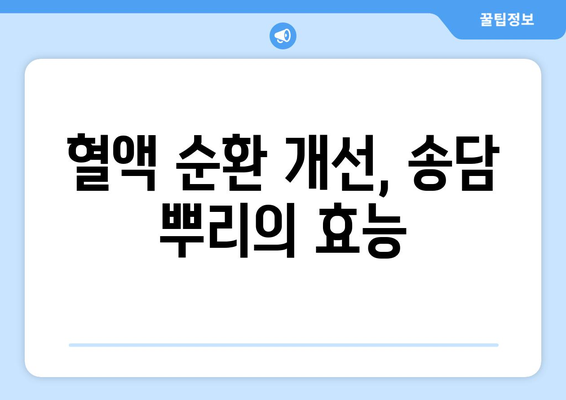 송담 뿌리 효능| 건강 지키는 자연의 선물 | 면역력, 항암 효과, 혈액순환, 송담차, 송담 효능