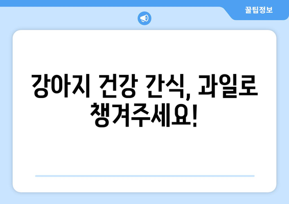 강아지가 안전하게 먹을 수 있는 과일 10가지 | 반려견, 간식, 건강