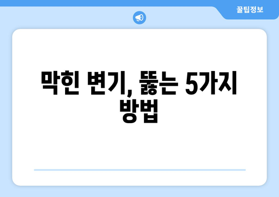 화장실 변기 막혔을 때 당황하지 마세요! 뚫는 방법 5가지 | 변기 막힘 해결, 막힌 변기 뚫는법, 변기 막힘 원인