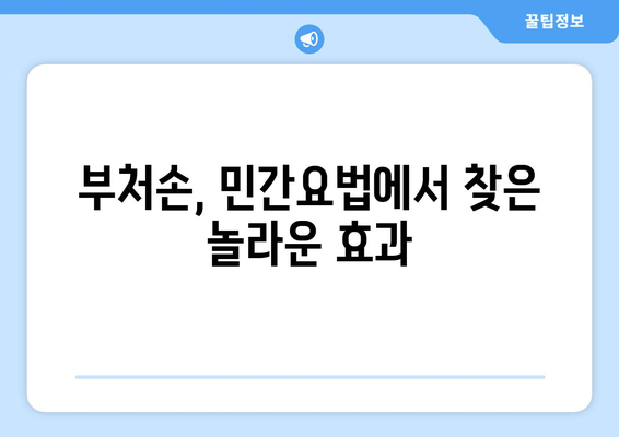 부처손 효능| 건강과 미용에 좋은 7가지 놀라운 효과 | 천연 약초, 민간요법, 부처손 효능 및 부작용