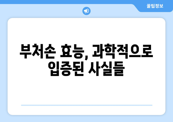 부처손 효능| 건강과 미용에 좋은 7가지 놀라운 효과 | 천연 약초, 민간요법, 부처손 효능 및 부작용