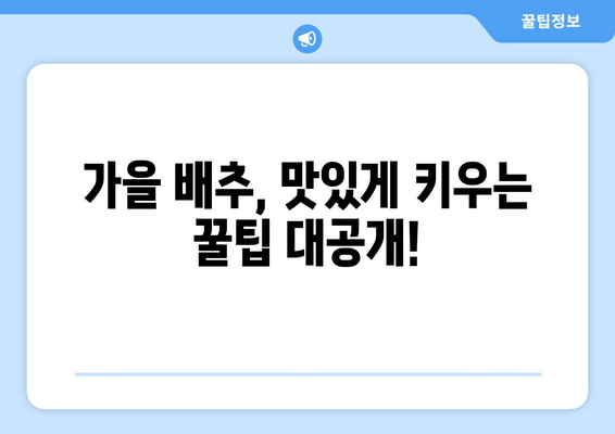 가을 배추 파종, 언제 하는 게 좋을까요? | 지역별 파종 시기 & 성공적인 재배 가이드