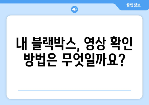 블랙박스 영상 보는 방법| PC, 스마트폰, 블랙박스별 상세 가이드 | 블랙박스 영상, 블랙박스, 영상 확인, 다운로드, 재생