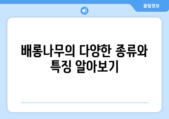 배롱나무의 매력, 10가지 특징으로 알아보기 | 꽃, 나무, 식물, 가드닝, 정원, 여름꽃