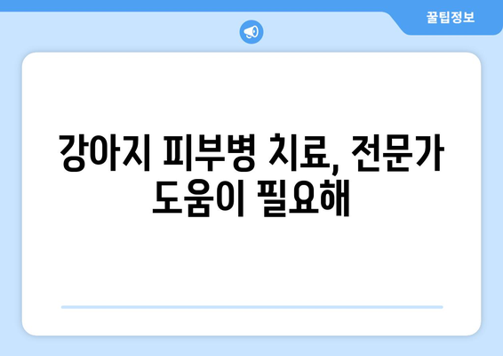 강아지 피부병, 민간요법으로 해결할 수 있을까요? | 강아지 피부병 증상, 원인, 치료, 예방