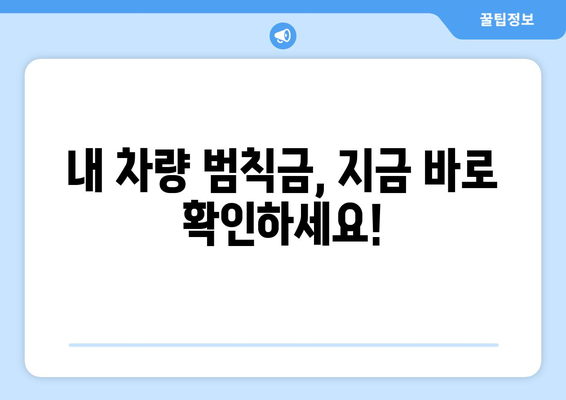 내 차량 범칙금, 간편하게 조회하세요! | 범칙금 조회, 과태료, 납부 방법, 조회 사이트