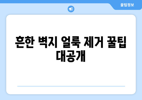 벽지 얼룩 제거 완벽 가이드| 종류별 제거 방법 & 주의 사항 | 벽지 얼룩, 얼룩 제거, 벽지 관리, 청소 팁