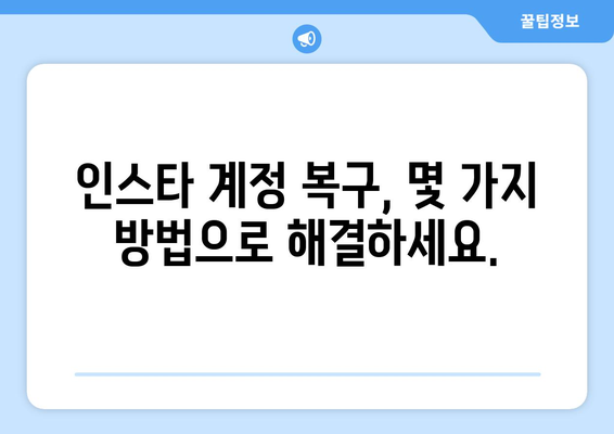 잊어버린 인스타그램 비밀번호 찾는 방법 | 비밀번호 재설정, 계정 복구, 팁