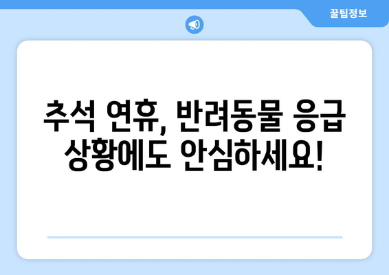 추석 연휴에도 걱정없이! 24시간 운영하는 동물병원 찾기 | 추석, 연휴, 응급, 동물병원, 24시간, 진료