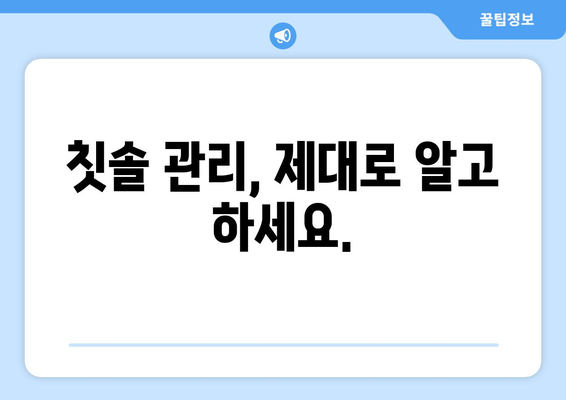 칫솔 교체 시기, 몇 개월이 적당할까요? | 칫솔 관리, 구강 건강, 교체 주기