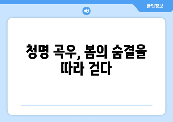 24절기 청명 곡우| 봄의 기운 가득한 계절 풍경과 생활 속 지혜 | 봄, 자연, 절기, 풍습, 건강