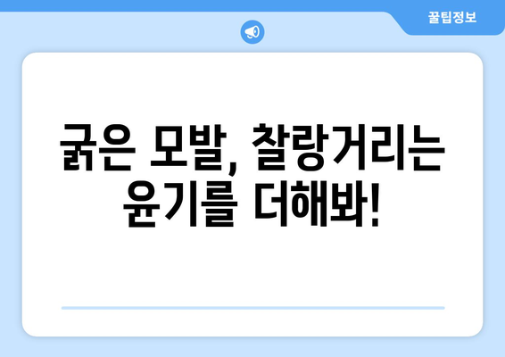 머리카락 굵기, 당신의 타입은? | 모발 굵기, 두께, 종류, 관리법