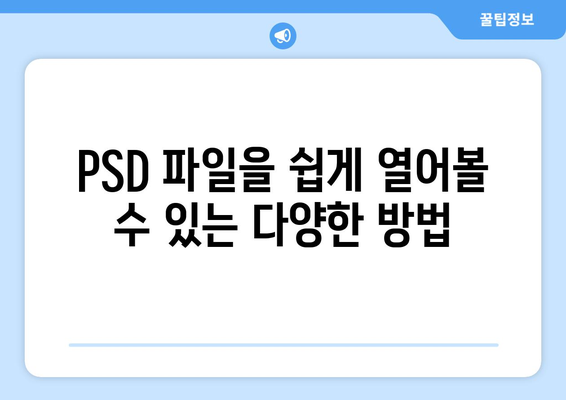 PSD 파일을 쉽게 열어보세요! | PSD 뷰어 추천 및 사용 방법