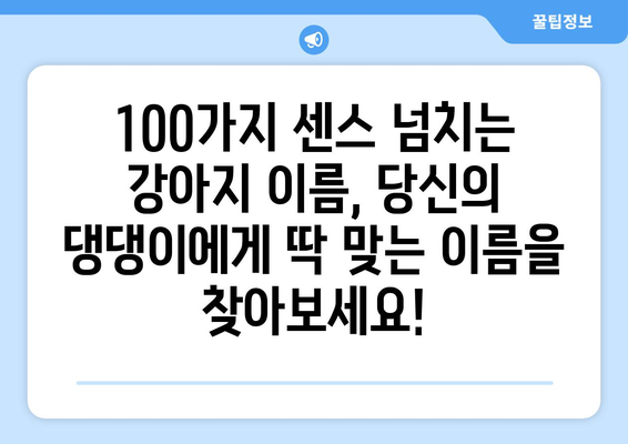 🐶 나만의 센스 넘치는 강아지 이름 찾기| 100개의 독특하고 예쁜 이름 추천 | 강아지 이름, 애견 이름, 개 이름, 댕댕이 이름