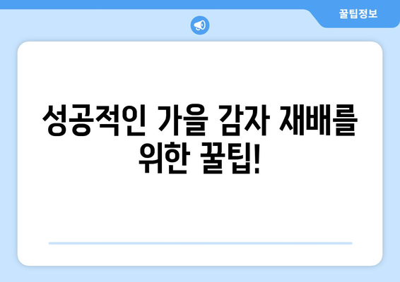 가을 감자 심는 시기 & 방법| 지역별 최적의 파종 시기와 성공적인 재배 가이드 | 감자, 농사, 가을 농사, 파종