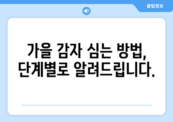 가을 감자 심는 시기 & 방법| 지역별 최적의 파종 시기와 성공적인 재배 가이드 | 감자, 농사, 가을 농사, 파종