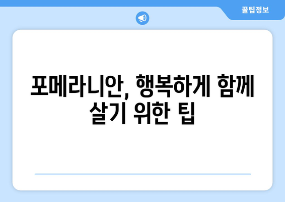 포메라니안 입양부터 건강 관리까지| 똑똑한 견주를 위한 완벽 가이드 | 포메라니안, 분양, 훈련, 건강, 관리, 팁