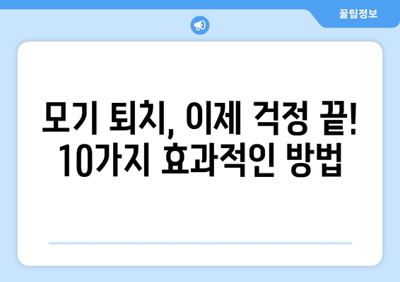 모기 퇴치 완벽 가이드| 10가지 효과적인 방법 | 모기, 퇴치, 천연, 효과적인, 집에서