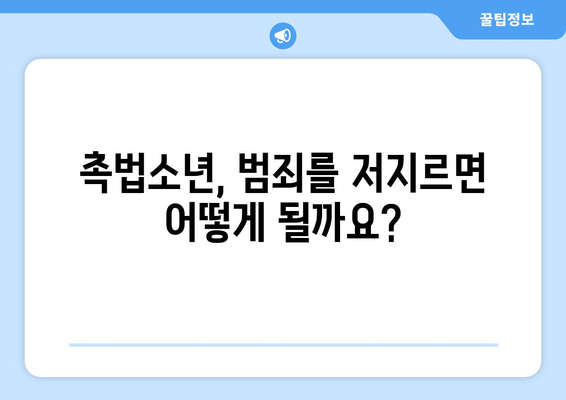 촉법소년이란 무엇일까요? | 촉법소년, 형사처벌, 연령, 범죄, 법률