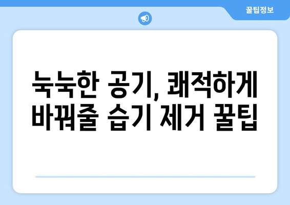 습기 제거 완벽 가이드| 집안 곳곳 습기 잡는 10가지 방법 | 습기 제거, 제습, 곰팡이 제거, 습도 조절