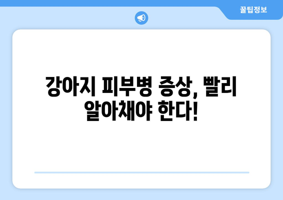 강아지 피부병, 민간요법으로 해결할 수 있을까요? | 강아지 피부병 증상, 원인, 치료, 예방