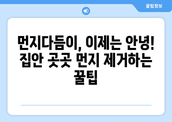 먼지다듬이 퇴치 완벽 가이드| 집안 곳곳 먼지 제거하는 꿀팁 | 먼지 제거, 청소 팁, 먼지다듬이, 집 청소