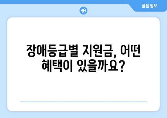 장애등급별 혜택 총정리| 2023년 최신 정보 | 장애인복지, 지원금, 혜택, 장애등급