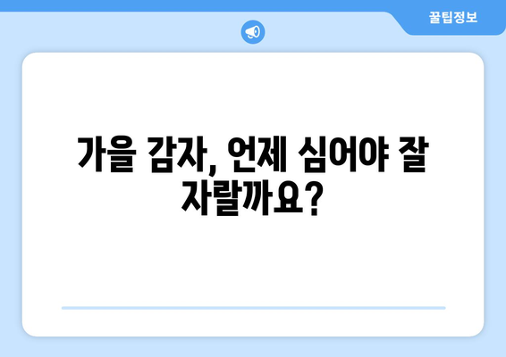 가을 감자 심는 시기 & 방법| 지역별 최적의 파종 시기와 성공적인 재배 가이드 | 감자, 농사, 가을 농사, 파종