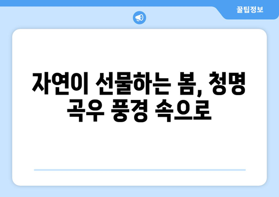 24절기 청명 곡우| 봄의 기운 가득한 계절 풍경과 생활 속 지혜 | 봄, 자연, 절기, 풍습, 건강