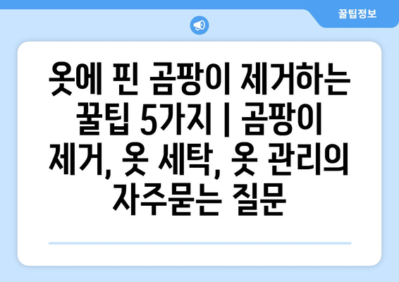 옷에 핀 곰팡이 제거하는 꿀팁 5가지 | 곰팡이 제거, 옷 세탁, 옷 관리