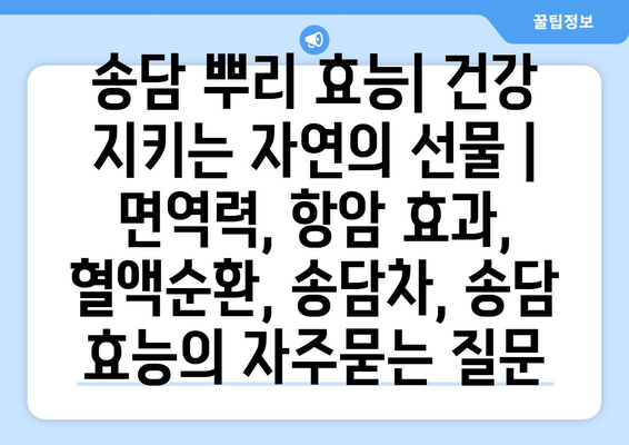 송담 뿌리 효능| 건강 지키는 자연의 선물 | 면역력, 항암 효과, 혈액순환, 송담차, 송담 효능