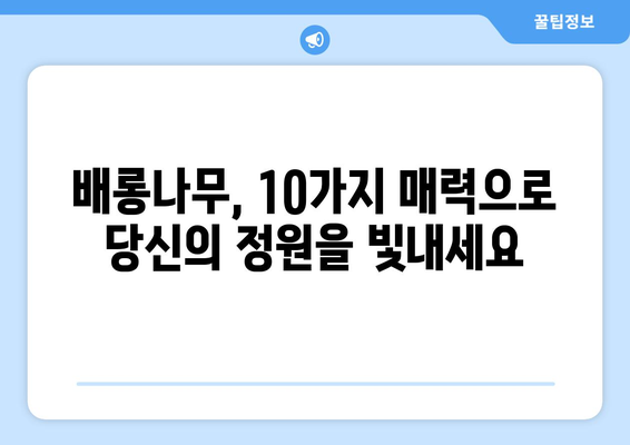 배롱나무의 매력, 10가지 특징으로 알아보기 | 꽃, 나무, 식물, 가드닝, 정원, 여름꽃