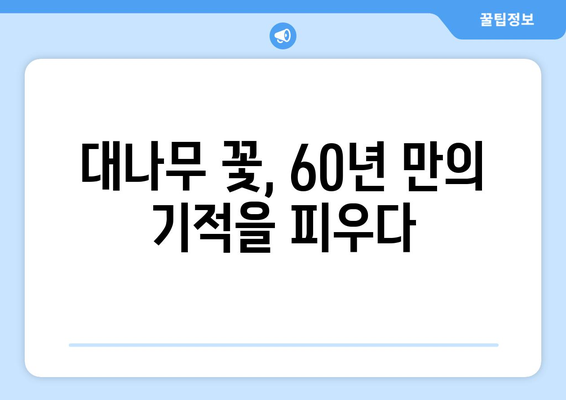 대나무 꽃의 신비| 개화의 비밀과 의미 | 대나무, 꽃, 개화, 문화, 전설