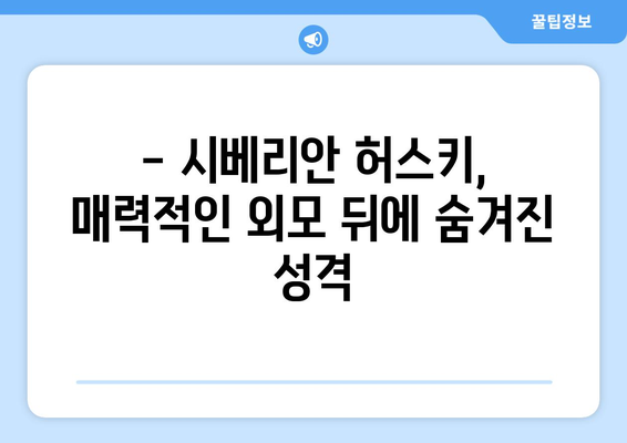 시베리안 허스키 성격 완벽 분석| 똑똑한 견주를 위한 궁극 가이드 | 허스키 성격, 특징, 훈련, 입양