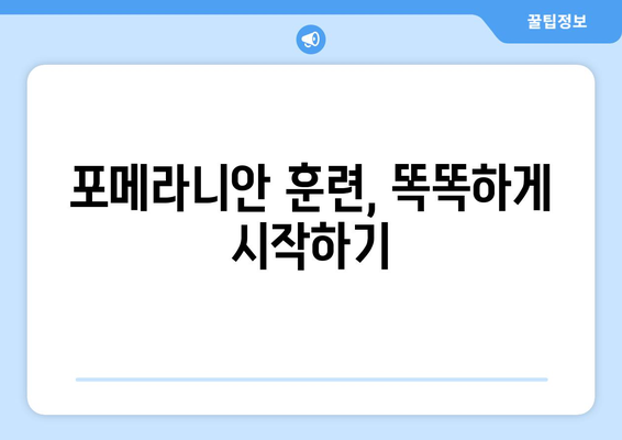 포메라니안 입양부터 건강 관리까지| 똑똑한 견주를 위한 완벽 가이드 | 포메라니안, 분양, 훈련, 건강, 관리, 팁