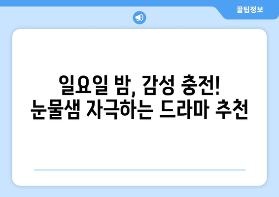 일요일 밤, 놓치면 후회할 드라마 추천 | 주말 드라마, 일요일 저녁, 시청률, 인기 드라마