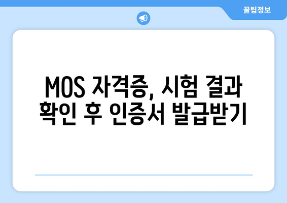 MOS 자격증 조회| 시험 결과 확인 및 인증서 발급 안내 | MOS, 자격증, 시험 결과, 인증서