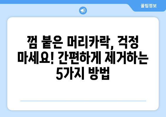 머리카락에서 껌 제거하는 꿀팁 5가지 | 껌 제거, 머리카락, 껌 제거 방법, 껌 붙었을 때