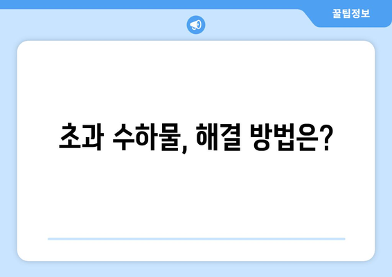 제주항공 수화물 초과 요금 꼼꼼히 살펴보기 | 수화물 규정, 초과 요금, 팁, 해결책