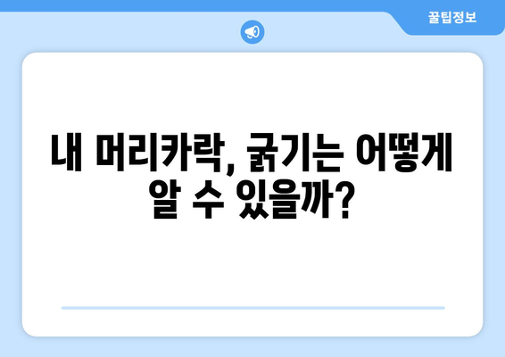 머리카락 굵기, 당신의 타입은? | 모발 굵기, 두께, 종류, 관리법