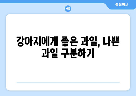 강아지가 안전하게 먹을 수 있는 과일 10가지 | 반려견, 간식, 건강