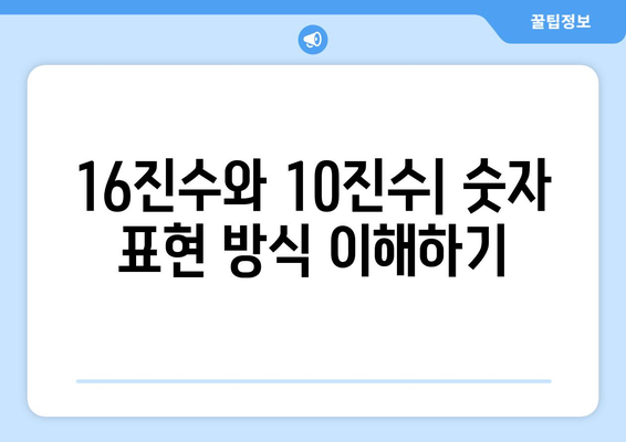 16진수를 10진수로 변환하는 방법| 상세 가이드 | 16진수, 10진수, 변환, 계산, 컴퓨터과학