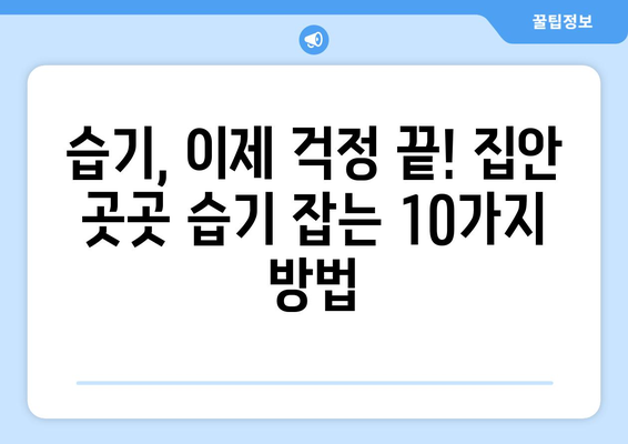 습기 제거 완벽 가이드| 집안 곳곳 습기 잡는 10가지 방법 | 습기 제거, 제습, 곰팡이 제거, 습도 조절