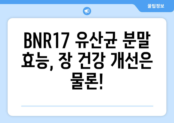 BNR17 유산균 분말, 장 건강 위한 선택? 효능과 섭취 방법 총정리 | 유산균, 장 건강, BNR17, 분말, 섭취, 효과