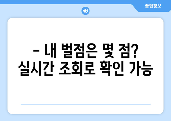 속도위반, 실시간 조회로 바로 확인하세요! | 과태료, 벌점, 조회 방법, 범칙금, 교통법규