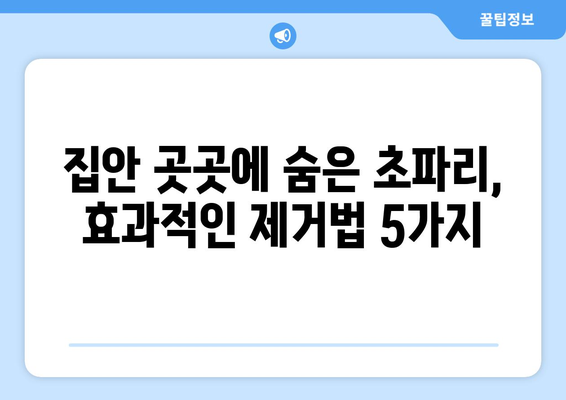 초파리 퇴치, 이제 그만! | 집에서 바로 해볼 수 있는 효과적인 5가지 방법