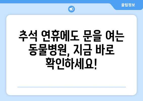 추석 연휴에도 걱정없이! 24시간 운영하는 동물병원 찾기 | 추석, 연휴, 응급, 동물병원, 24시간, 진료