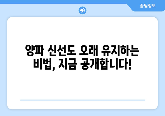 양파 오래 보관하는 최고의 방법| 신선함 유지하는 꿀팁 대공개 | 양파 보관, 신선도 유지, 보관법, 팁, 요리