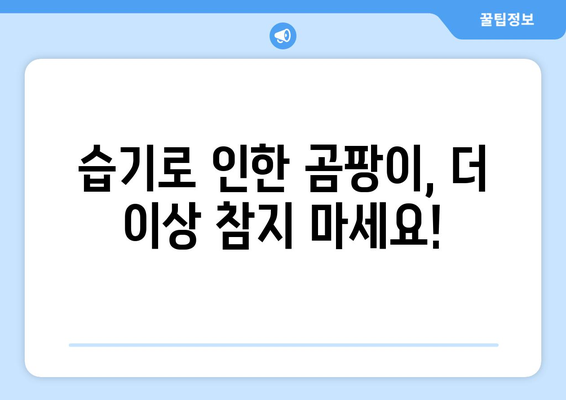 습기 제거 완벽 가이드| 집안 곳곳 습기 잡는 10가지 방법 | 습기 제거, 제습, 곰팡이 제거, 습도 조절